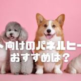 ペット向けのパネルヒーターのおすすめは？安全性や電気代も気になる