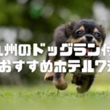 九州でドッグラン付きホテル7選！県別ペットと泊まれるおすすめ宿【2025】