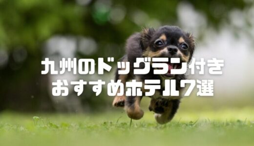 九州でドッグラン付きホテル7選！県別ペットと泊まれるおすすめ宿【2025】