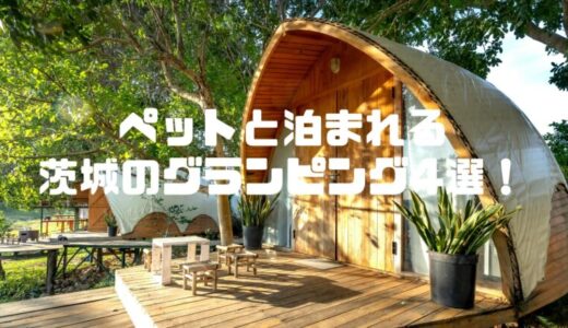 【茨城】ペット可のグランピングおすすめ4選！大型犬OKやドッグラン付きも