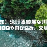 【愛知】泳げる綺麗な川5選！BBQや飛び込み、子連れ川遊びや穴場も